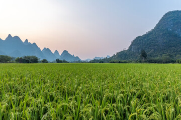 为何要做功德-